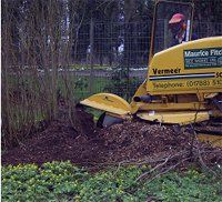 tree-works-northamptonshire-oxfordshire-leicestershire-warwickshire-maurice-fitch-tree-works-gallery tree-works-northamptonshire-oxfordshire-leicestershire-warwickshire-maurice-fitch-tree-works-gallery