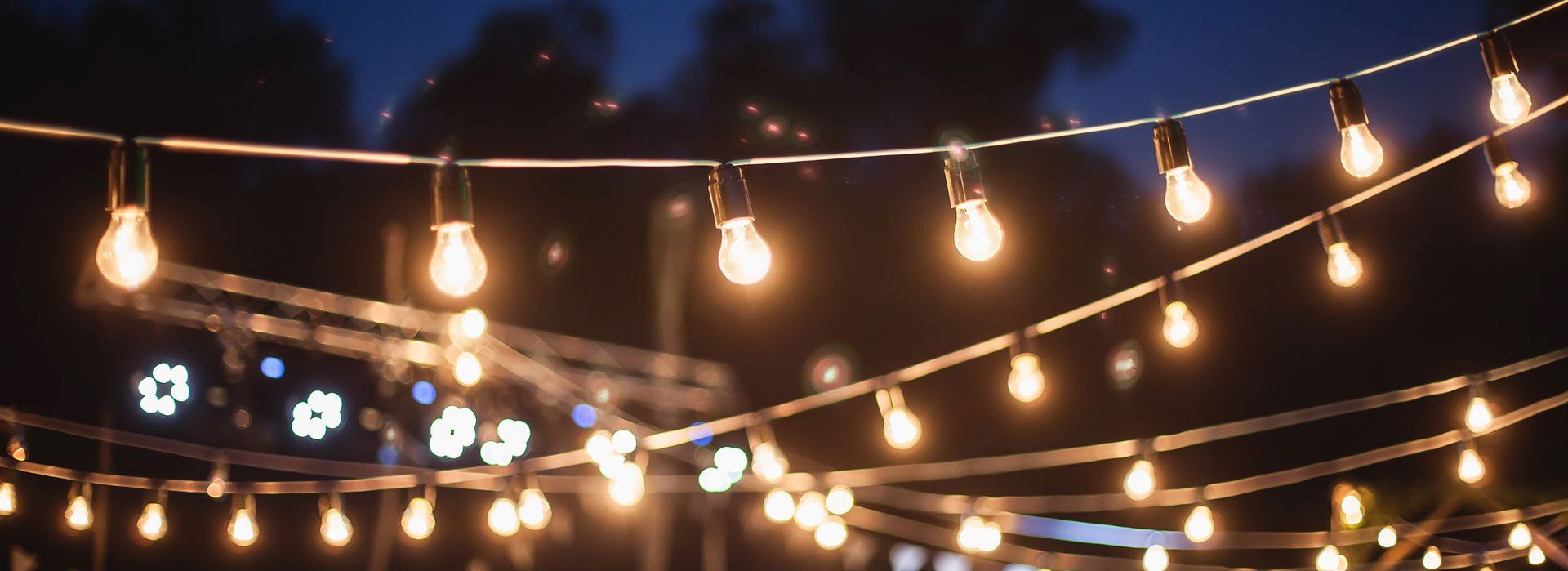 MC Holiday Lighting | Other Events | NY, NJ, CT Tri-State Area