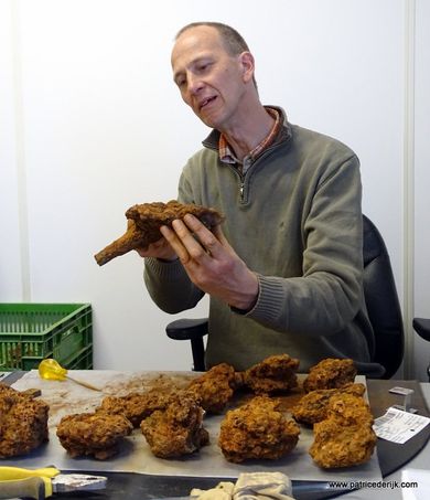 Dr. Patrice de Rijk Archaeometallurgist
