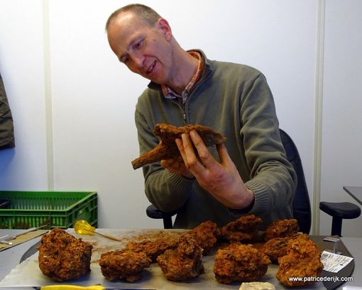 Dr. Patrice de Rijk - Archaeometallurgist