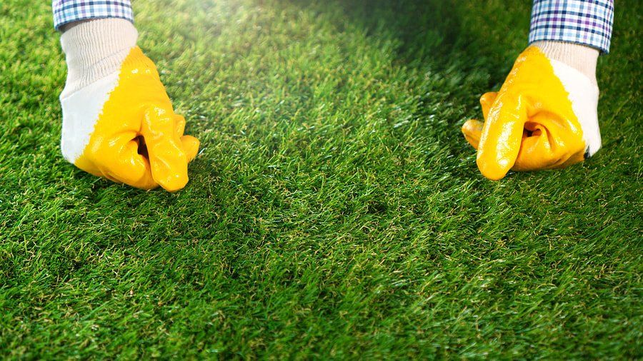 affordable artificial turf for dogs