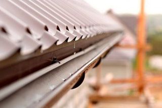 Gutter Cleaning — Nothing But Clean Window Cleaning, Dallas Fort Worth Metroplex TX