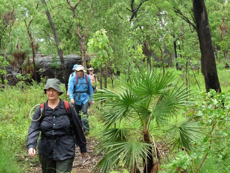 On the Barrk walk, Kakadu
