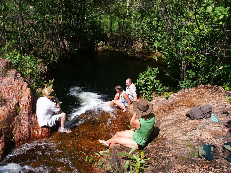 Litchfield cascade, February