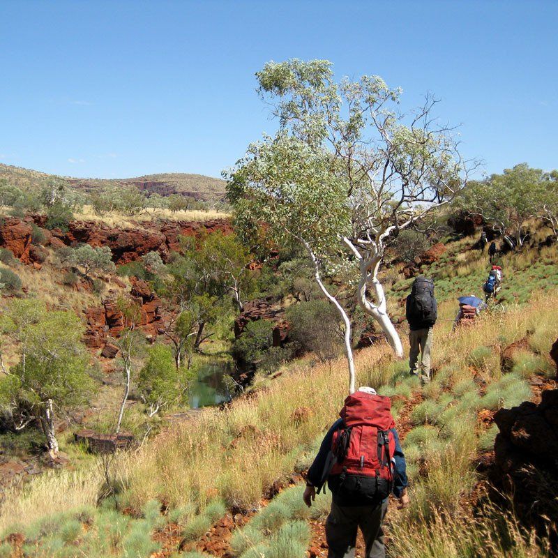 Karijini National Park, Munjina Gorge bushwalk