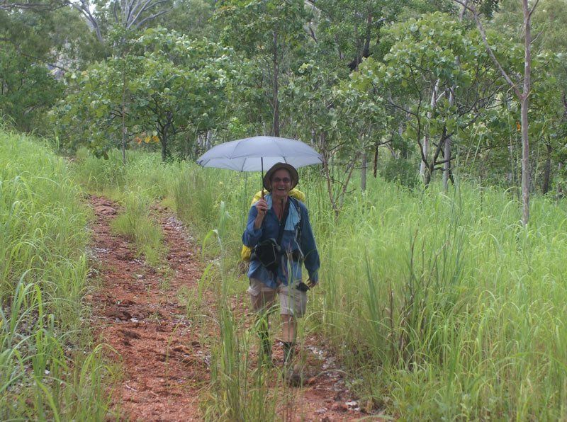 On the track to Motorcar Falls