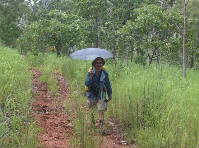 Easy wet season walking in Nitmiluk/Katherine Gorge National Park