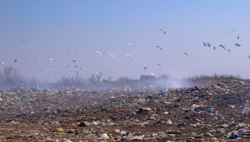 Landfill