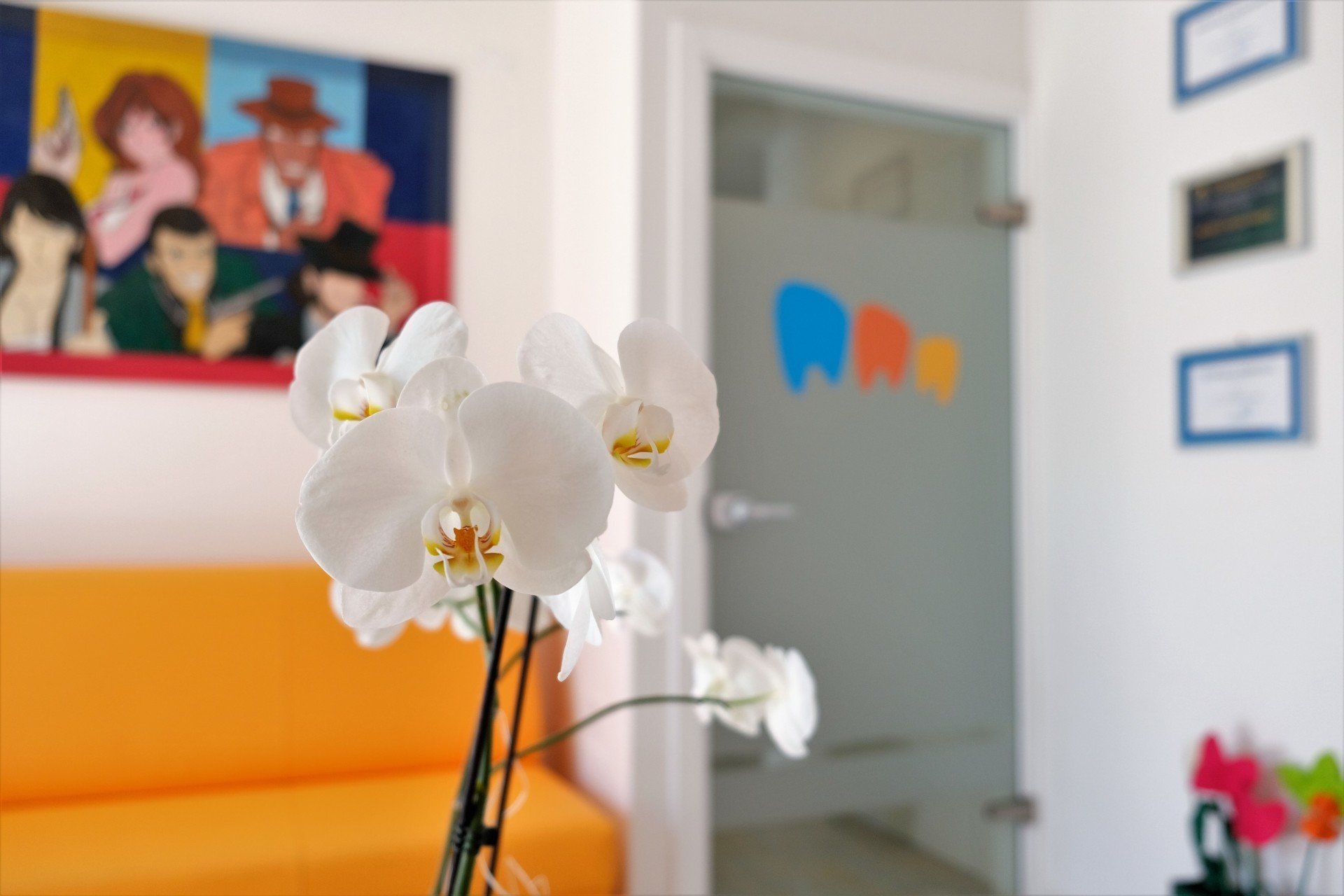 Orchidee bianche nello studio dentistico, divano arancione, quadri colorati alle pareti, porta in vetro smerigliato con il logo del dentista.