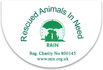 Rescued Animals in Need: Cat adoption Sevenoaks, London.