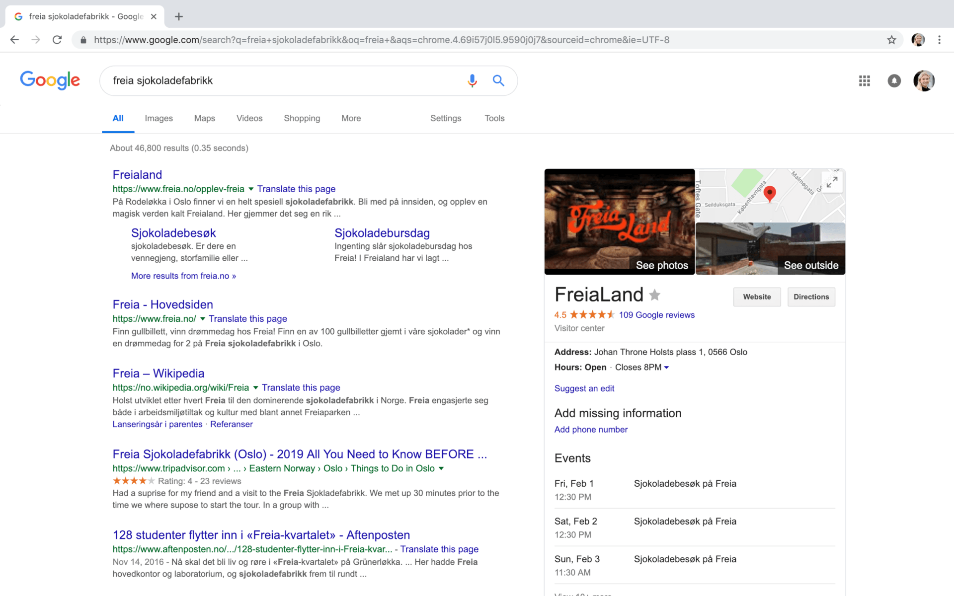 skjermbilde av Google Min Bedrift siden til Freialand