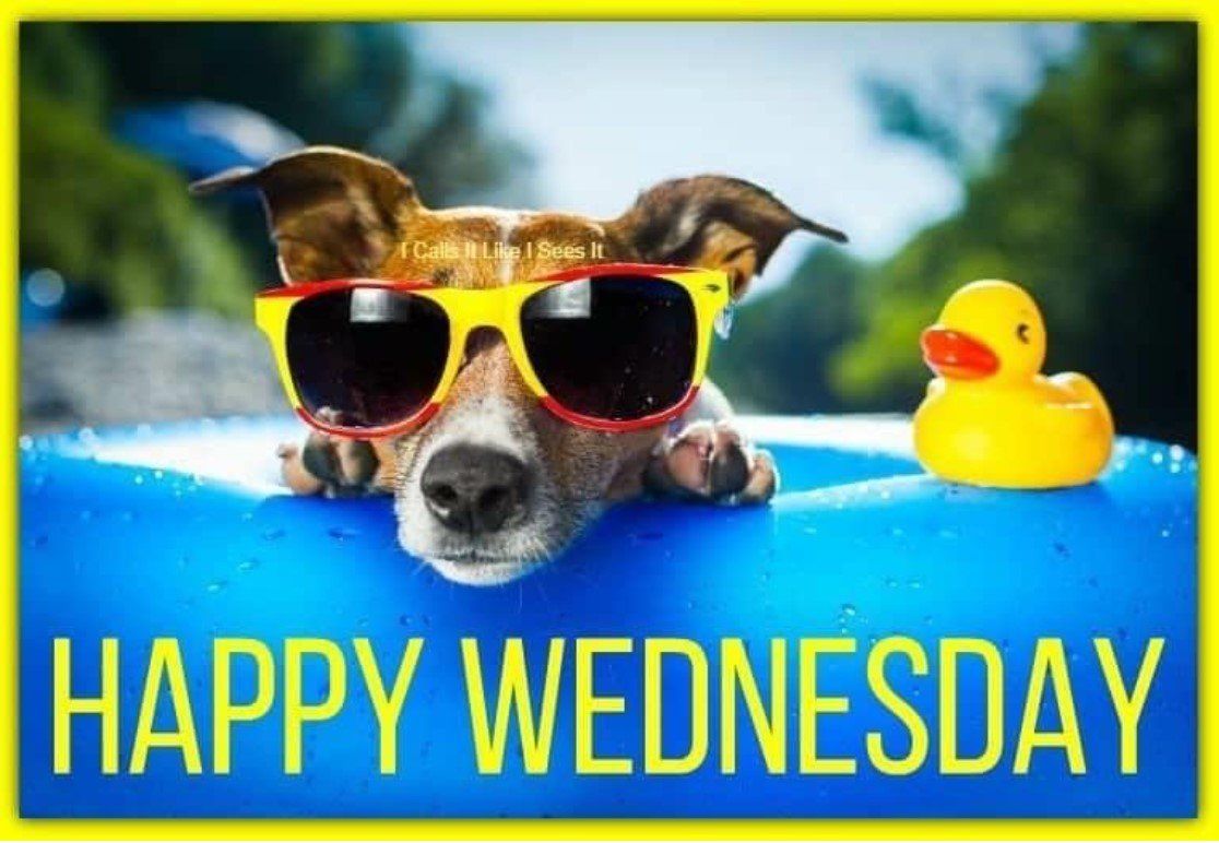 Happy Wednesday | Omaha, NE | Olympic Pool & Spa