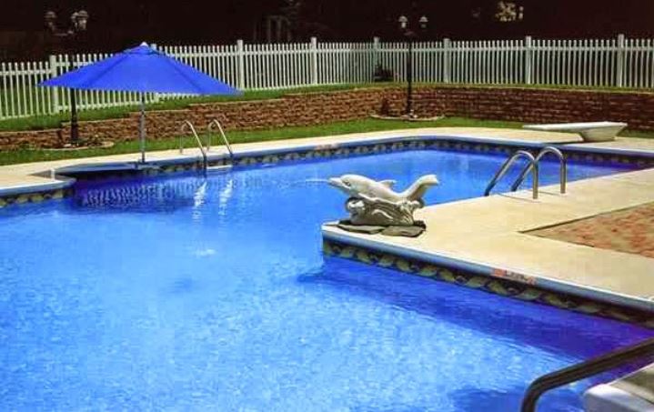 Dolphin Designed Pool | Omaha, NE | Olympic Pool & Spa