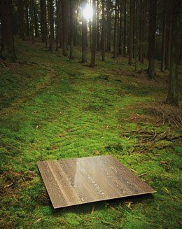 Wald