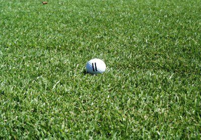 Meyer Zoysia Grass — Wilmington, NC — Turf Masters Sod Farms Meyer Zoysia Grass — Wilmington, NC — Turf Masters Sod Farms
