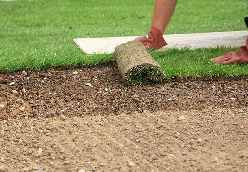 Working on a Roll of SOD Grass — Wilmington, NC — Turf Masters Sod Farms