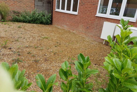 london-garden-waste-removal