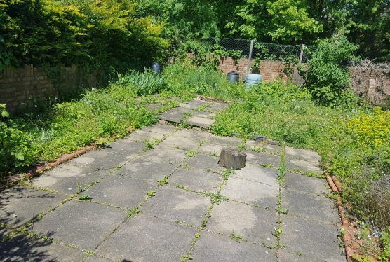 london-garden-waste-removal
