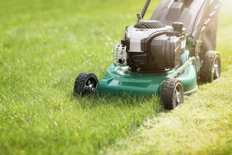 Lawn Service — Grass Trimming in Jackson, MS Lawn Service — Grass Trimming in Jackson, MS