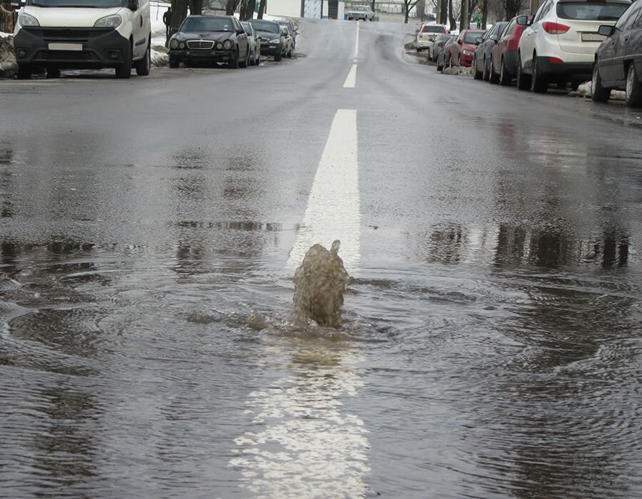 perdita in strada