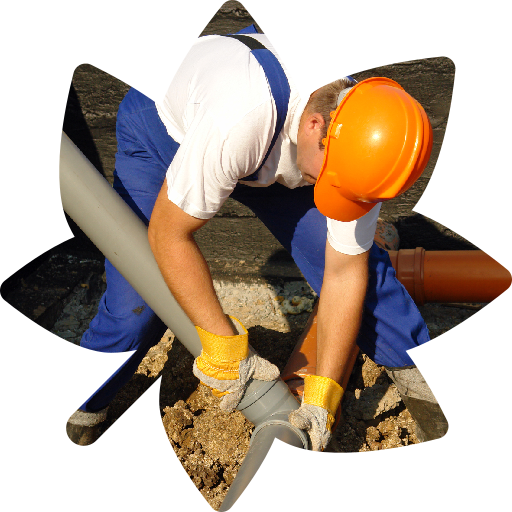 disinfestazione professionale