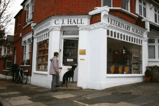 Rabbit Vet