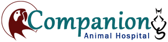 Logo, Companion Animal Hospital - Animal Hospital Logo, Companion Animal Hospital - Animal Hospital
