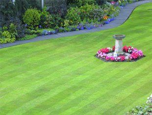 Garden design - North Lincolnshire - Oak Apple Services - Landscaping Landscaping