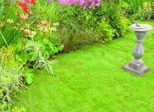 Landscaping - Scunthorpe - Oak Apple Services - Garden design Garden design