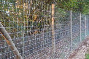 wire and mesh fencing for added security