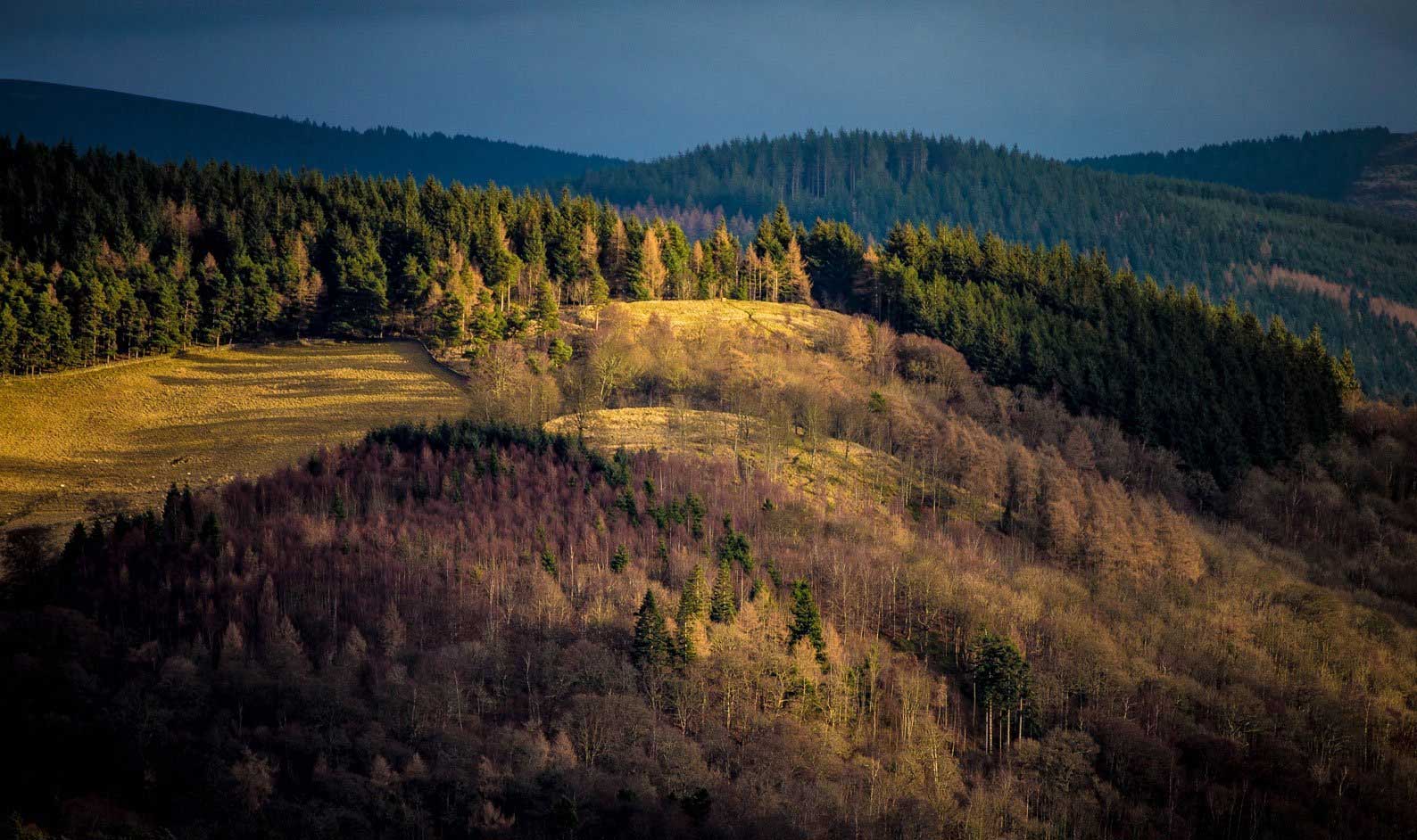 Glentress, near Peebles