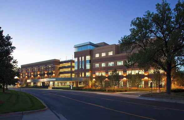 edina gallery