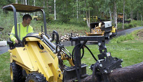 tree removal equipment Hanover, Markdale.