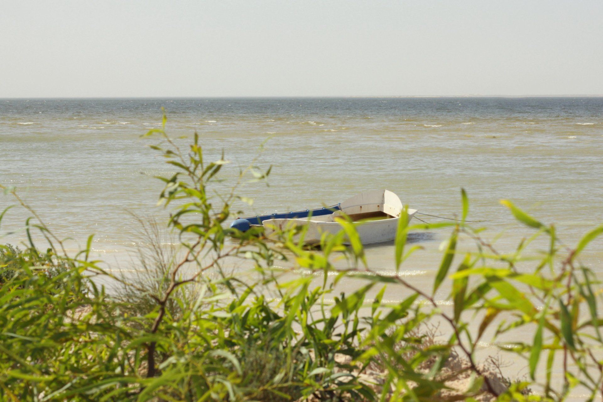 Un bateau est assis sur le rivage de l'océan.