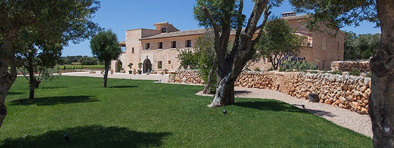 Une grande maison est entourée d'arbres et d'une pelouse verte luxuriante.