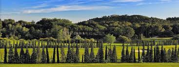 Une rangée d'arbres dans un champ avec des montagnes en arrière-plan.