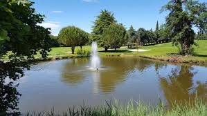 Un étang avec une fontaine au milieu entouré d'arbres.