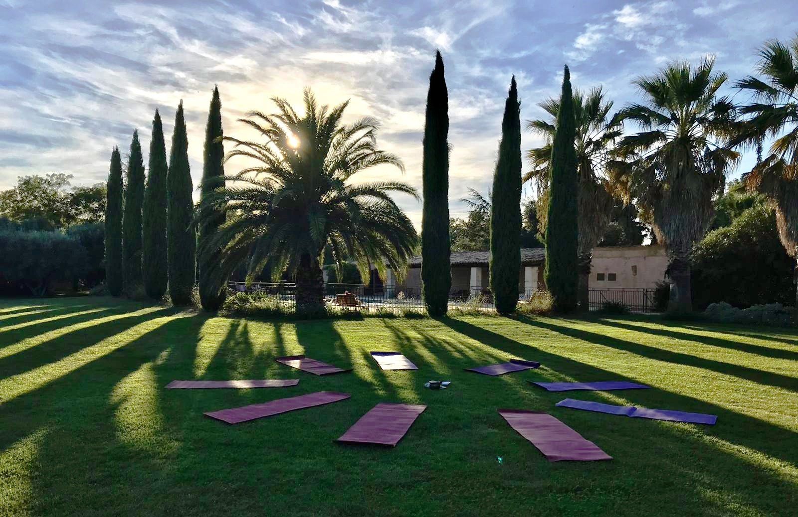 Un cercle de tapis de yoga sur un champ vert luxuriant avec des palmiers en arrière-plan.
