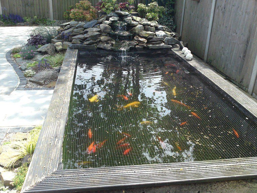 pond cleaning Essex,dirty water,green water,water clear,
