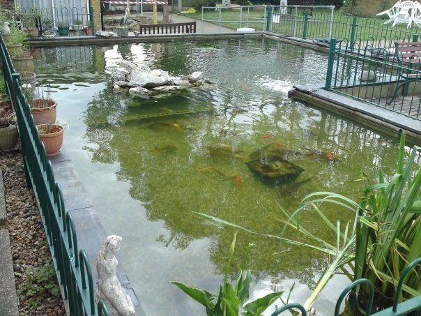 Pond cleaning in Essex here is a pond we cleaned  out in Upminster we installed a under gravel stone filter
