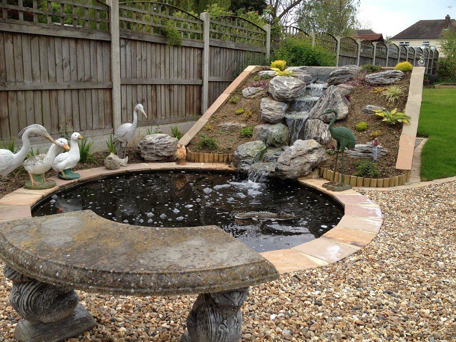 Pond design