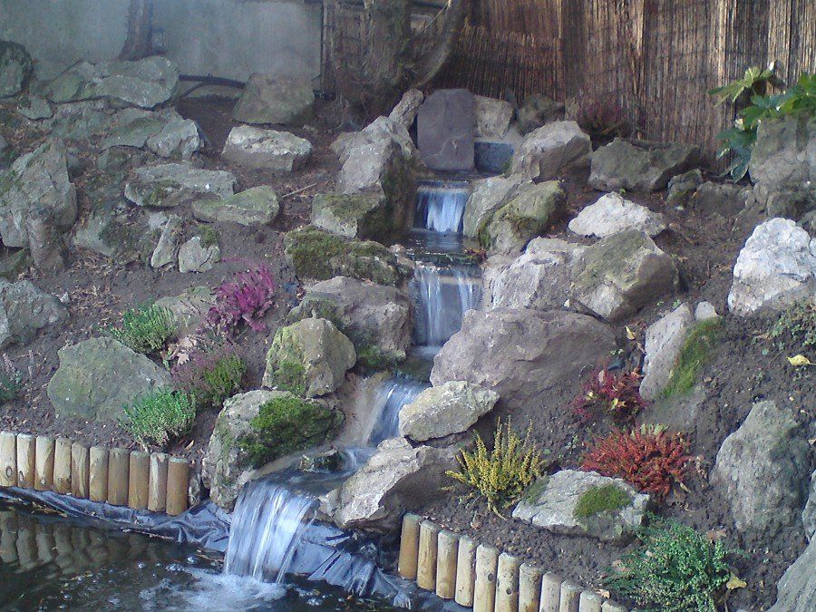 collins Waterfall
