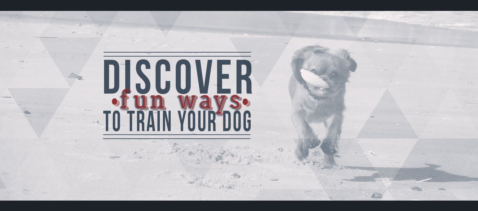 Discover Fun Ways