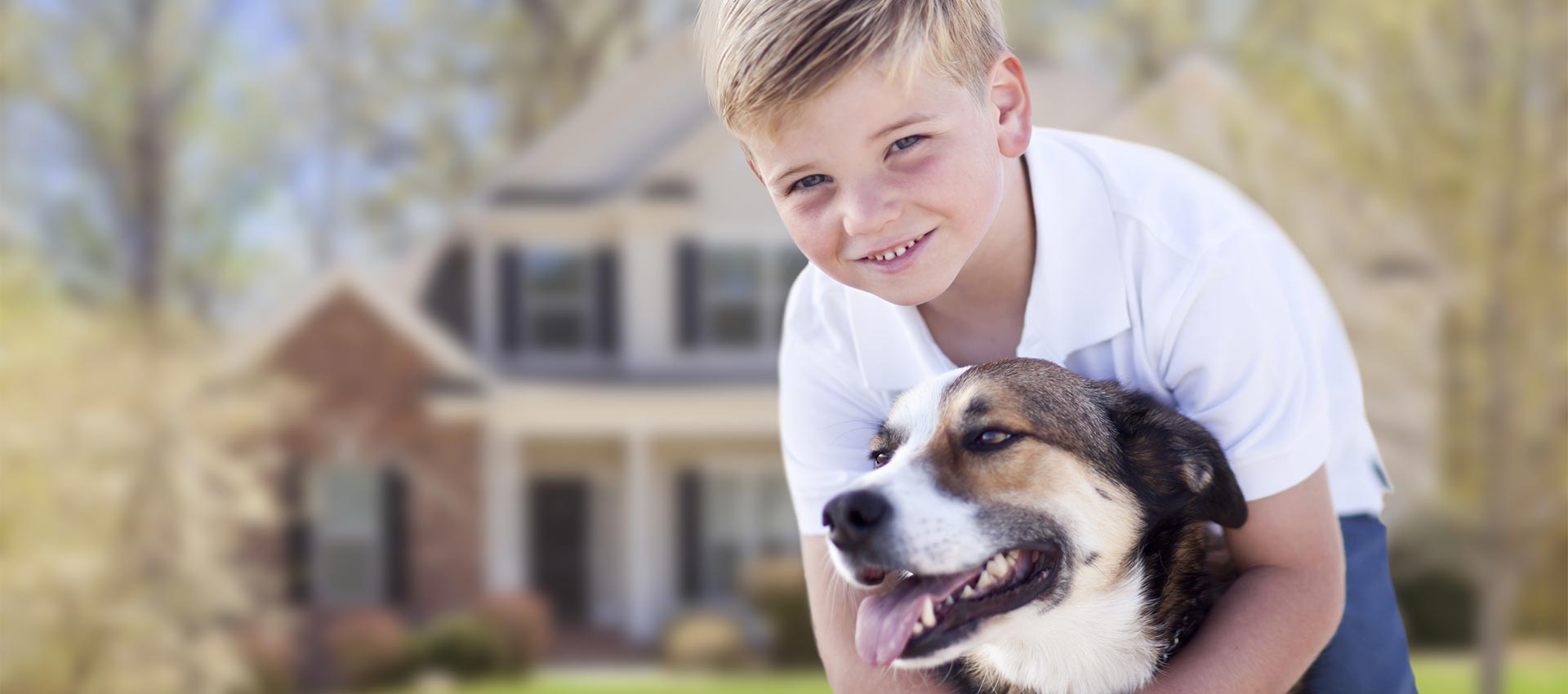 Boy and Dog