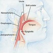 Uvulopalatopharyngoplasty