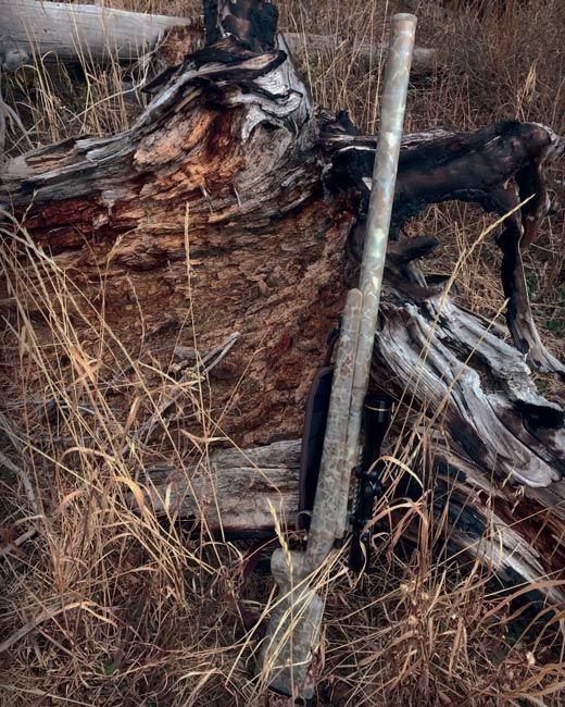 Rifle leaning against a weathered tree stump, in a field of dry grass.