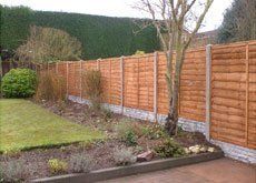fencing