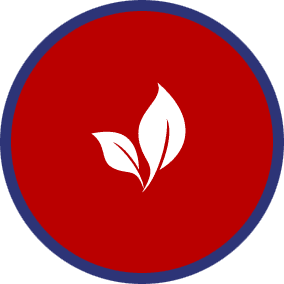 leaf icon