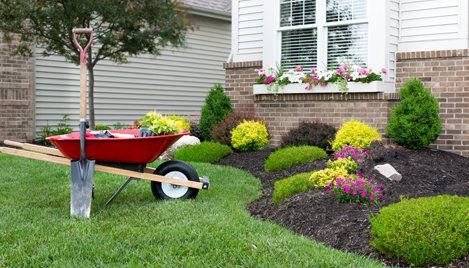 garden maintenance