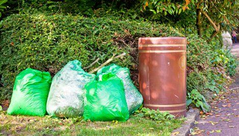 garden clearance